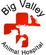 Big Valley Animal Hospital Logo